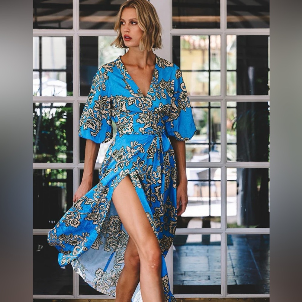 NWT Cara Cara Rosewood Dress